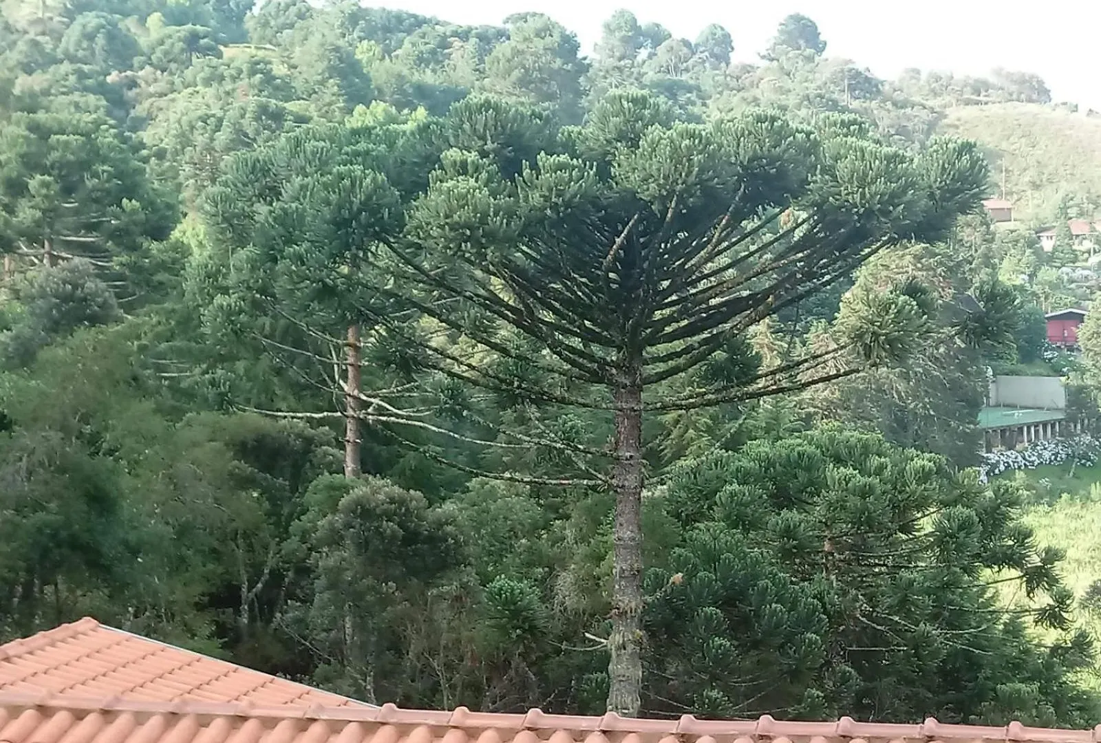 Holiday home Super Chale Com Vista Para Montanha - Pets Bem-Vindos! Campos do Jordao
